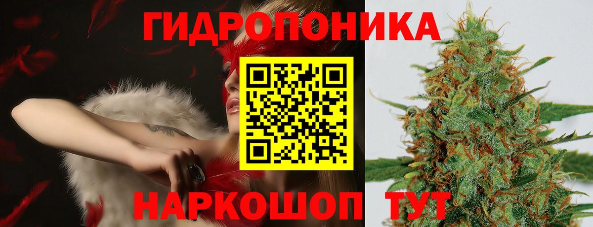 Люберцы  Каннабис SATIVA & INDICA  МАРИХУАНА White Widow  Вход с VPN 